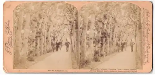 Stereo-Fotografie J. F. Jarvis, Washington D.C., Ansicht London, Queen Marys Bower, Hampton Court