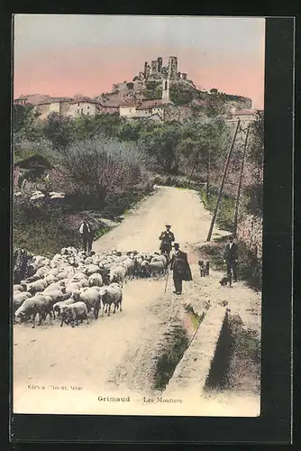 AK Grimaud, Les Moutons