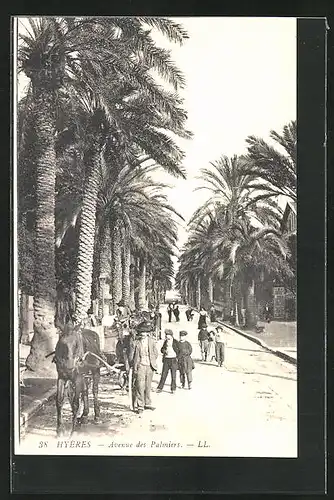 AK Hyeres, Avenue des Palmiers