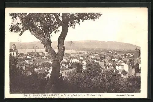 AK Saint-Raphael, Vue generale-Chene liege