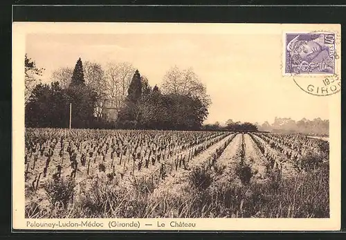 AK Palouney-Ludon-Médoc, Le Chateau