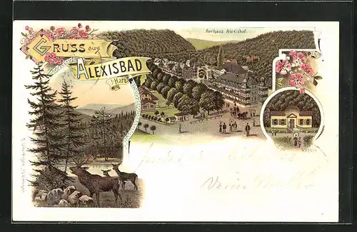 Lithographie Alexisbad i. Harz, Kapelle und Kurhaus Alexisbad