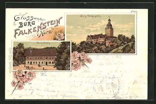 AK Falkenstein i. Harz, Burg und Gasthaus Zum Falken