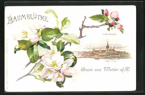 Lithographie Werder a. H., Totalansicht mit Baumblüthe