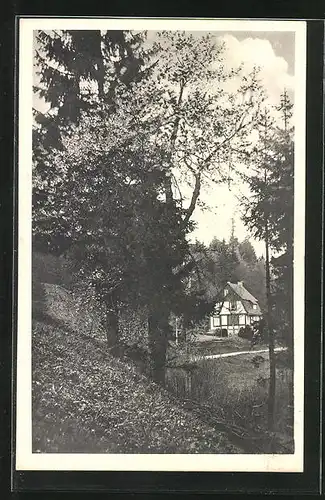 AK Vesser, Haus Waidmannsheil, Post Schmiedefeld