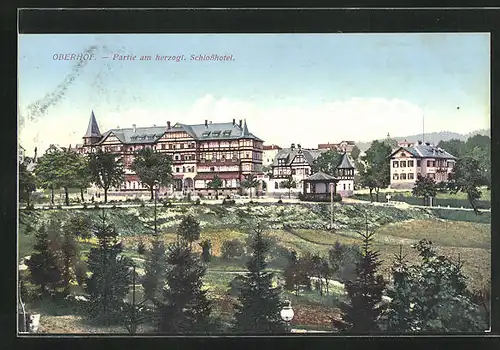 AK Oberhof, Partie am herzogl. Schlosshotel