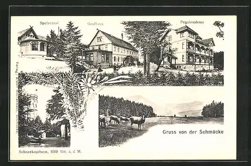 AK Schmücke, Speisesaal, Gasthaus, Pensionshaus