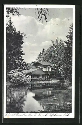 AK Schmiedefeld am Rennsteig, Im Kurpark, Cafe-Haus mit Teich