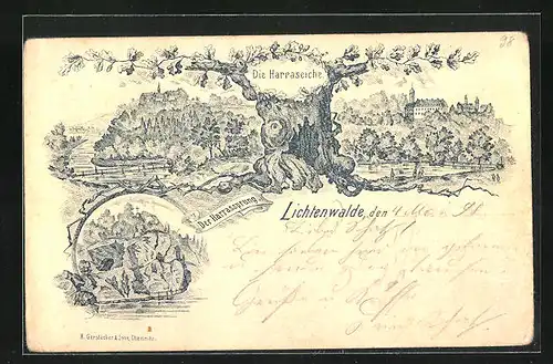 Lithographie Lichtenwalde, Die Harraseiche, Der Harrassprung