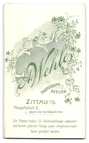 Fotografie A. Wehle, Zittau i. S., Hospitalstr. 2, Portrait bildschönes Fräulein mit eleganter Halskette