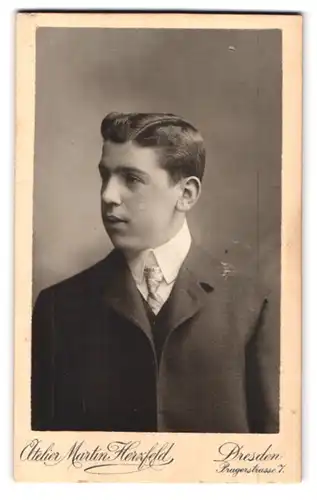 Fotografie Martin Herzfeld, Dresden, Pragerstr. 7, Portrait charmanter junger Mann mit Krawatte im Jackett