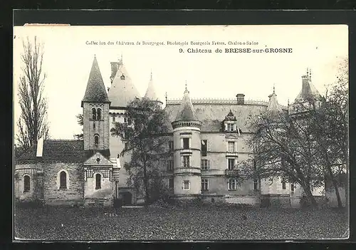 AK Bresse-sur-Grosne, Le Chateau