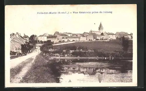 AK Bois-Ste-Marie, Vue Generale prise de l`etang