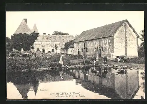 AK Champcevrais, Château du Prie, la Ferme