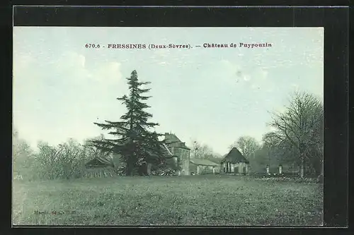 AK Fressines, Chateau de Puypouzia