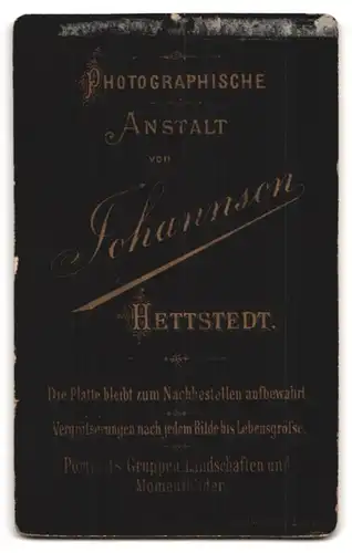 Fotografie Johannson, Hettstedt, Portrait stattlicher Herr mit Schnurrbart