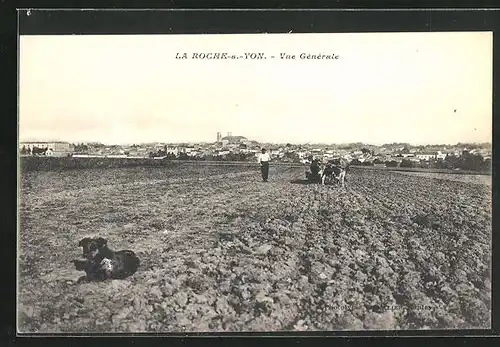 AK Roche-sur-Yon, Vue Generale