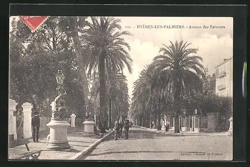 AK Hyéres-les-Palmiers, Avenue des Palmiers