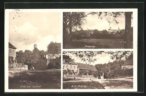 AK Droyssig, Blick zum Schloss, am Markt, Gesamtansicht