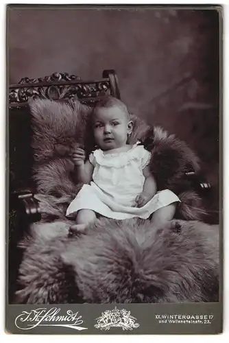 Fotografie J. K. Schmidt, Wien, Wintergasse 17, Portrait niedliches Kleinkind im weissen Hemd auf Fell sitzend