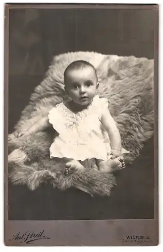 Fotografie Ant. Streit, Wien, Steinackergasse 20, Portrait niedliches Kleinkind im weissen Hemd auf Fell sitzend