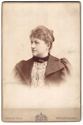 Fotografie Ferdinand Grega, Wien, Kleine Sperlgasse 3, Portrait bürgerliche Dame mit Kragenbrosche