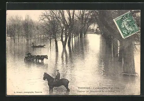 AK Tonnerre, L`Inondation 1910, Hochwasser, L`allée des Ormes du Patis