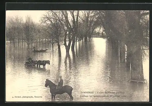 AK Tonnerrre, L`Inondation 1910, L`allée des Ormes du Patis, Hochwasser