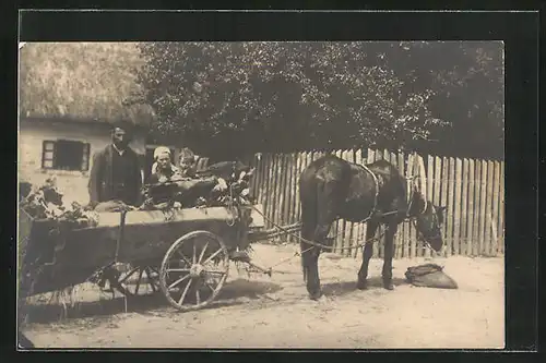 AK Pferdegespann mit Familie