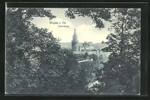 AK Weida i. Th., Blick auf Schloss Osterburg