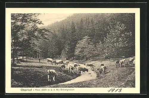 AK Oberhof i. Thür., Blick auf den Silbergraben
