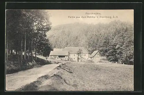 AK Eisenberg, Blick auf die Froschmühle im Sonnenschein