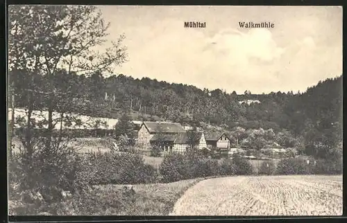 AK Eisenberg, Blick auf die Walkmühle