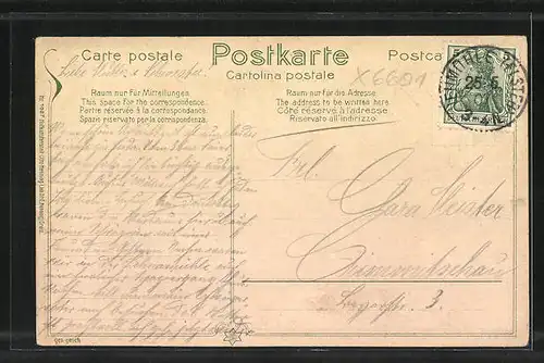 AK Neumühle a. d. Elster, Ortsansicht aus der Vogelschau