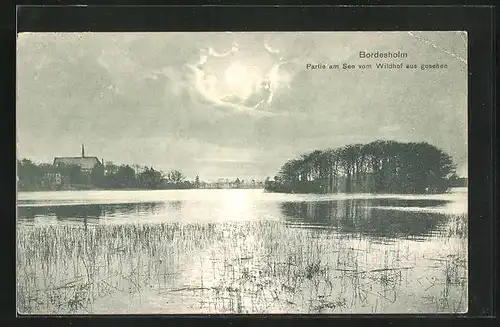 AK Bordesholm, Partie am See vom Wildhof aus gesehen