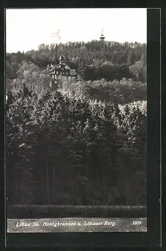 AK Löbau Sa., Blick auf den Honigbrunnen und Löbauer Berg