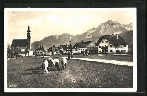 AK Traunstein, Ortsansicht mit Schaafen