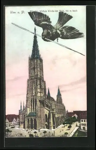 AK Ulm a. D., Blick auf das Münster aus der Vogelschau