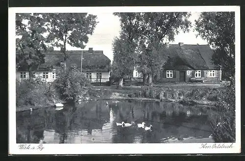 AK Wiek / Rügen, Partie am Ortsteich