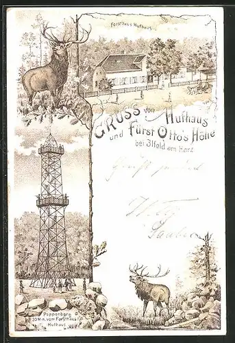 Lithographie Ilfeld / Harz, Gasthaus Hufhaus und Fürst Ottos Höhe