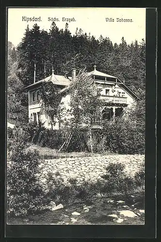 AK Kipsdorf / Sächs. Erzgebirge, Hotel Johanna