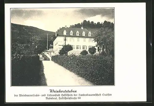 AK Radebeul, Gasthaus, Weinbauversuchs- und Lehranstalt Hoflössnitz, Hoflössnitzstrasse 60
