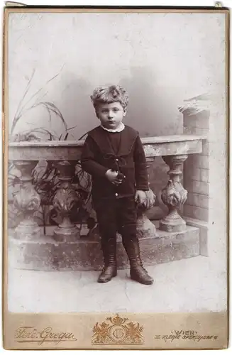 Fotografie Ferd. Grega, Wien, Kleine Sperlgasse 3, Portrait kleiner Junge in hübscher Kleidung
