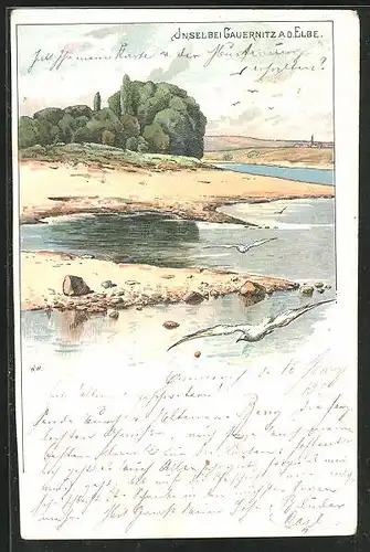 Lithographie Gauernitz / Elbe, Möwen fliegen an Insel vorbei