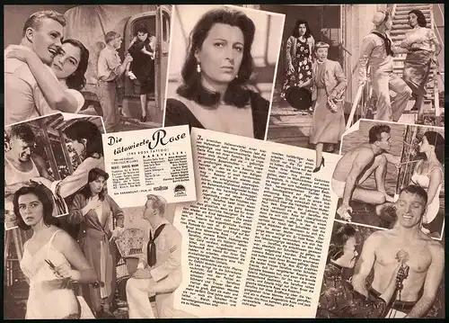Filmprogramm IFB Nr. 3177, Die tätowierte Rose, Anna Magnani, Burt Lancaster, Regie: Daniel Mann