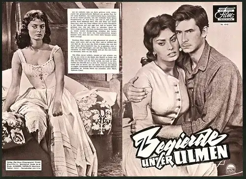 Filmprogramm DNF Nr. 4142, Begierde unter Ulmen, Sophia Loren, Burl Ives, Regie: Delbert Mann