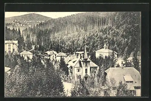 AK Kipsdorf im sächs. Erzgebirge, Teilansicht aus der Vogelschau