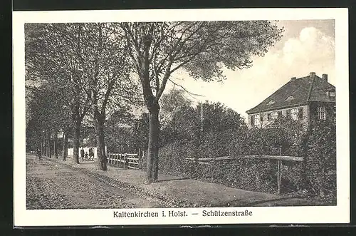 AK Kaltenkirchen i. Holst., Schützenstrasse mit Passanten