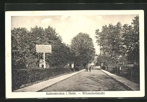 AK Kaltenkirchen, Blick auf die Wiesenhofstrasse
