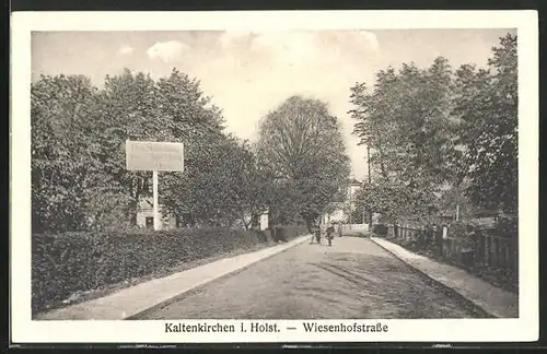 AK Kaltenkirchen, Blick auf die Wiesenhofstrasse im Sonnneschein